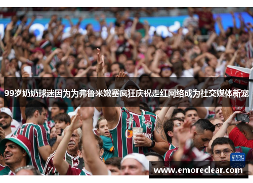 99岁奶奶球迷因为为弗鲁米嫩塞疯狂庆祝走红网络成为社交媒体新宠