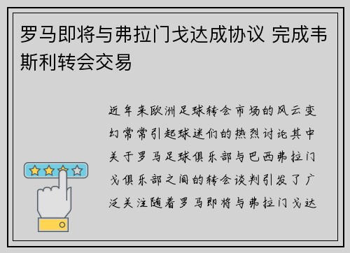 罗马即将与弗拉门戈达成协议 完成韦斯利转会交易